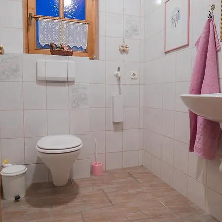 Aparthaus Bergfuehrer Harald Gleirscher Apartment *